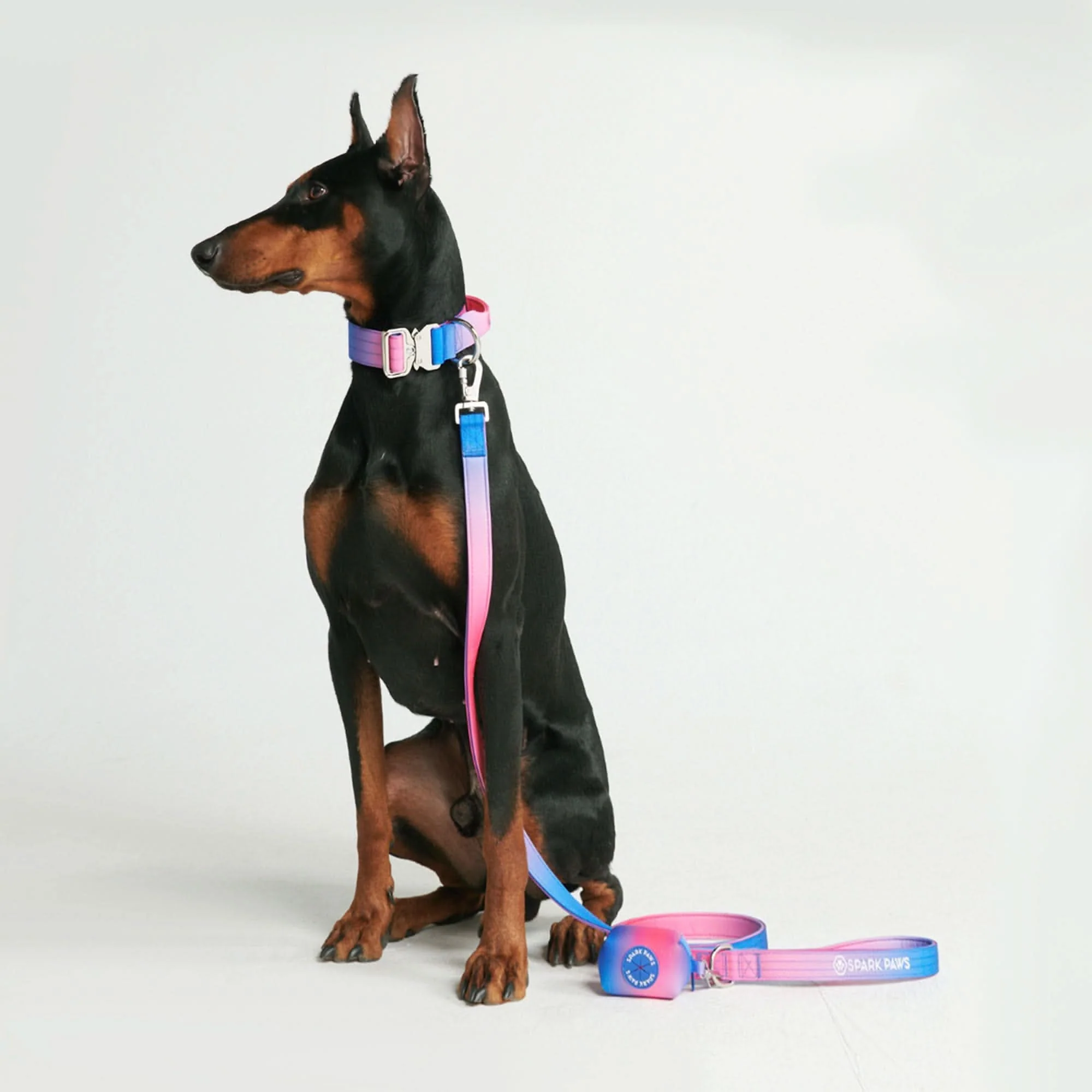 戦術的な犬用首輪セット - スノーコーン - Image 4