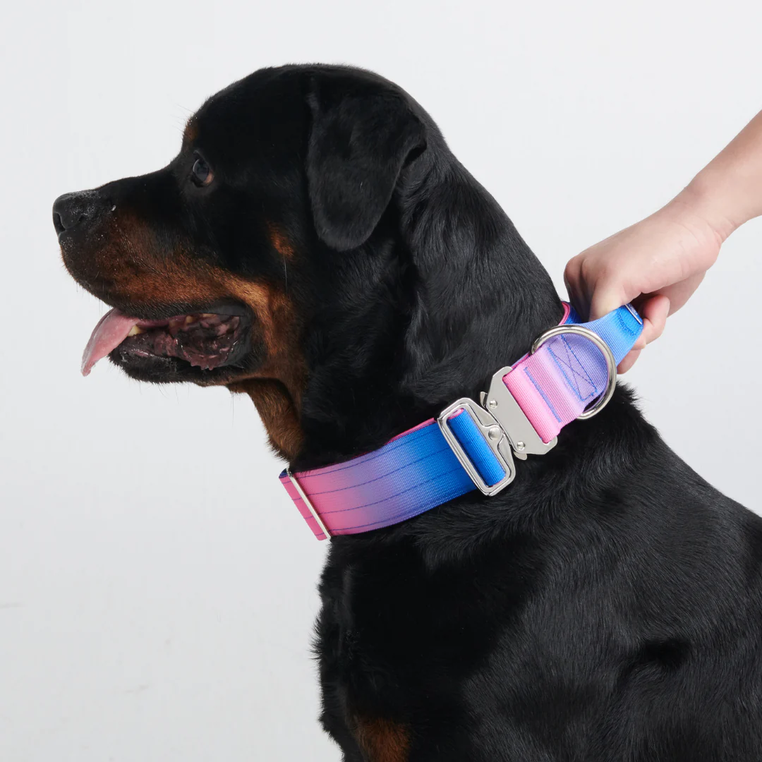 戦術的な犬用首輪セット - スノーコーン - Image 9