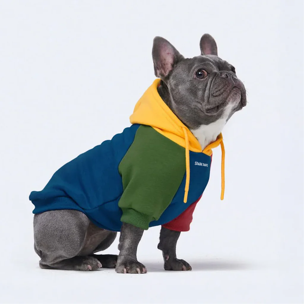 カラーブロック犬パーカー - Image 30